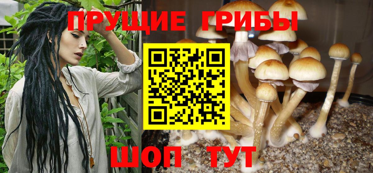 Галлюциногенные грибы мицелий Старый Оскол